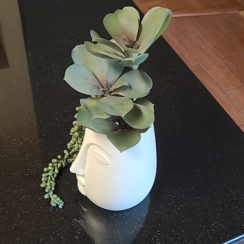 Succulent Face Pot